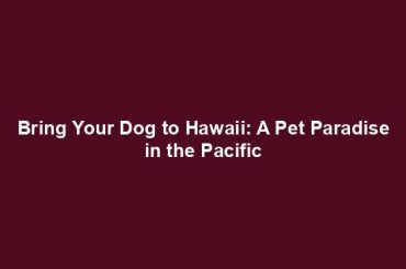 Bring Your Dog to Hawaii: A Pet Paradise in the Pacific