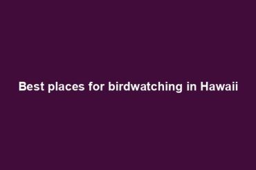 Best places for birdwatching in Hawaii