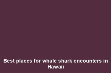 Best places for whale shark encounters in Hawaii