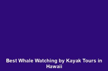 Best Whale Watching by Kayak Tours in Hawaii