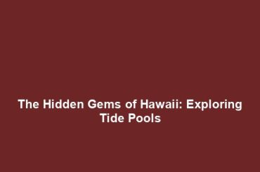 The Hidden Gems of Hawaii: Exploring Tide Pools