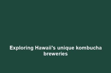 Exploring Hawaii's unique kombucha breweries