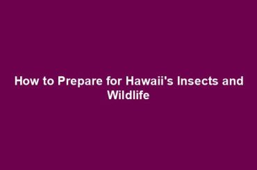 How to Prepare for Hawaii's Insects and Wildlife