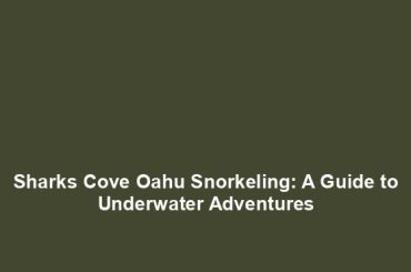 Sharks Cove Oahu Snorkeling: A Guide to Underwater Adventures