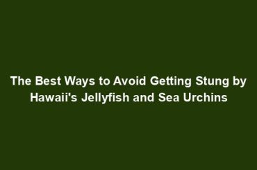 The Best Ways to Avoid Getting Stung by Hawaii's Jellyfish and Sea Urchins