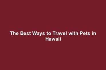 The Best Ways to Travel with Pets in Hawaii