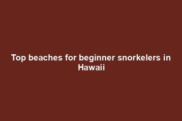 Top beaches for beginner snorkelers in Hawaii