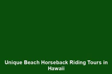 Unique Beach Horseback Riding Tours in Hawaii