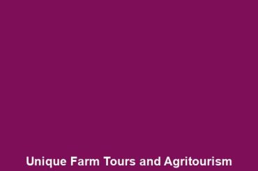 Unique Farm Tours and Agritourism Experiences in Hawaii