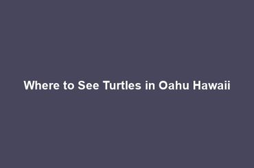 Where to See Turtles in Oahu Hawaii