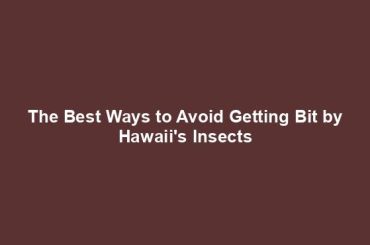 The Best Ways to Avoid Getting Bit by Hawaii's Insects